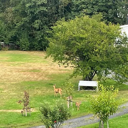 Idyllisk Ved Sjoen Hébergement de vacances *
